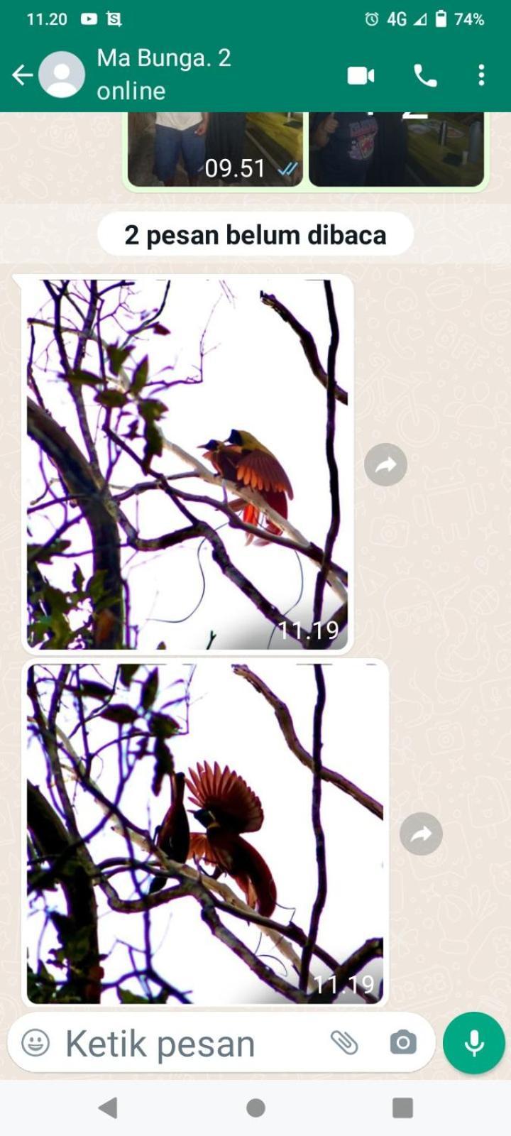 Amfriwen Homestay Yennanas Besir Buitenkant foto